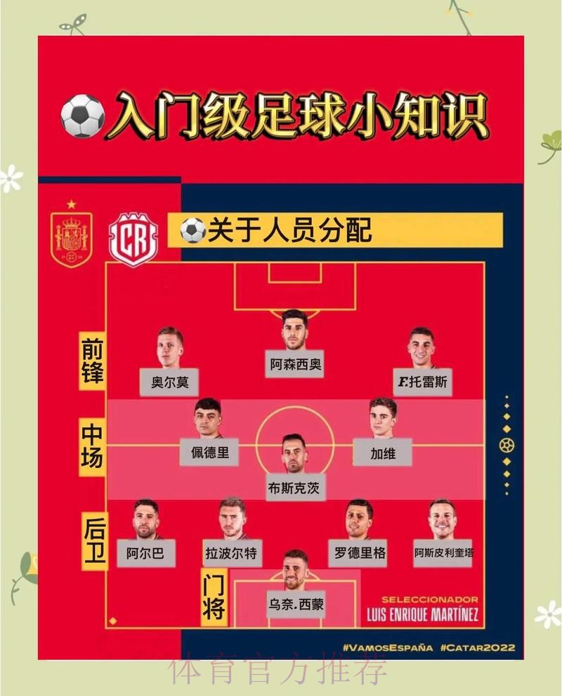 深入解读世界杯球队战术与策略分析 深入解读世界杯球队战术与策略分析